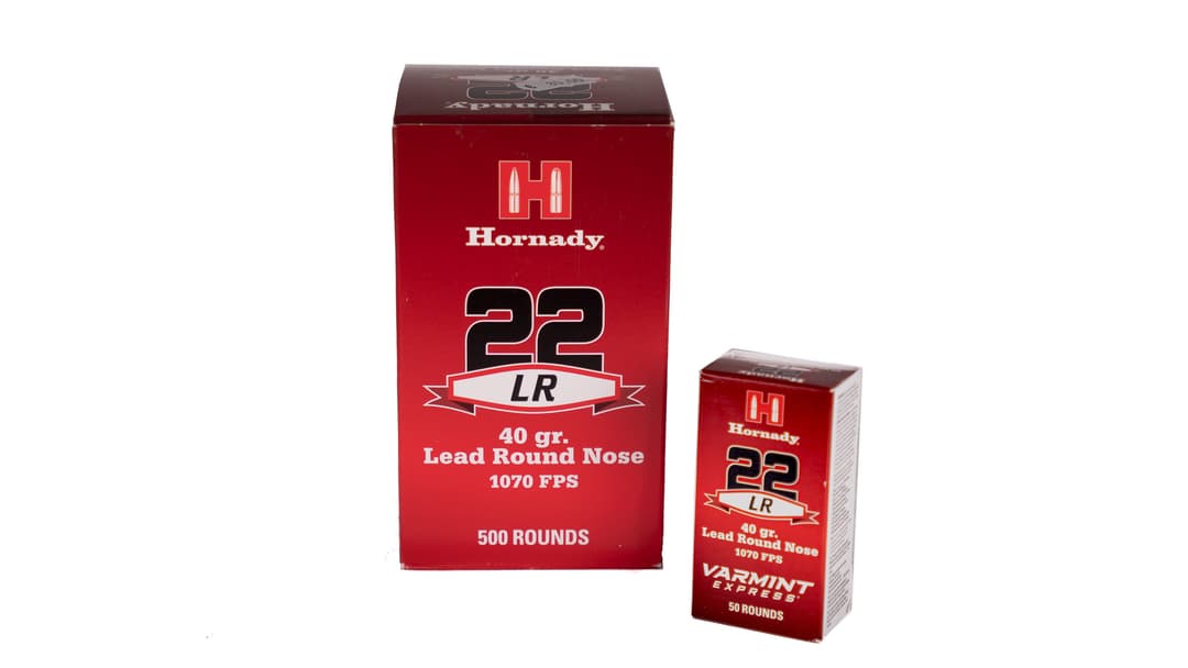 Bild von: hornady-22lr-round-500