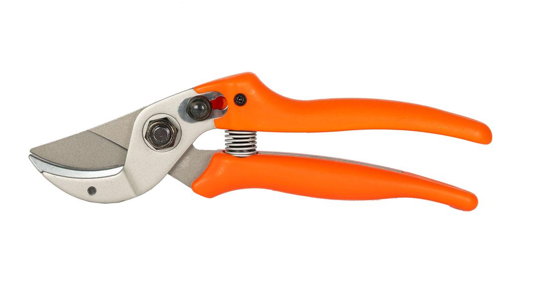 Bild von: loewe-hunting-shears-easy-clean-15-114
